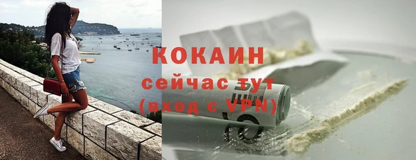 сатива Баксан