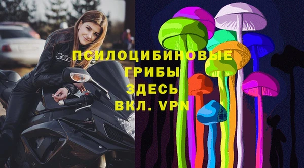 сатива Баксан